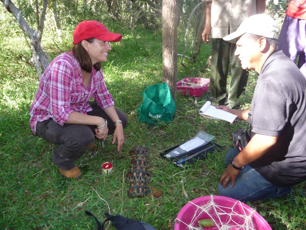 Christina_and_Herilala_preparing_tortoises_for_release.__Both_shell_notches_and_red_paint_marks_are_employed