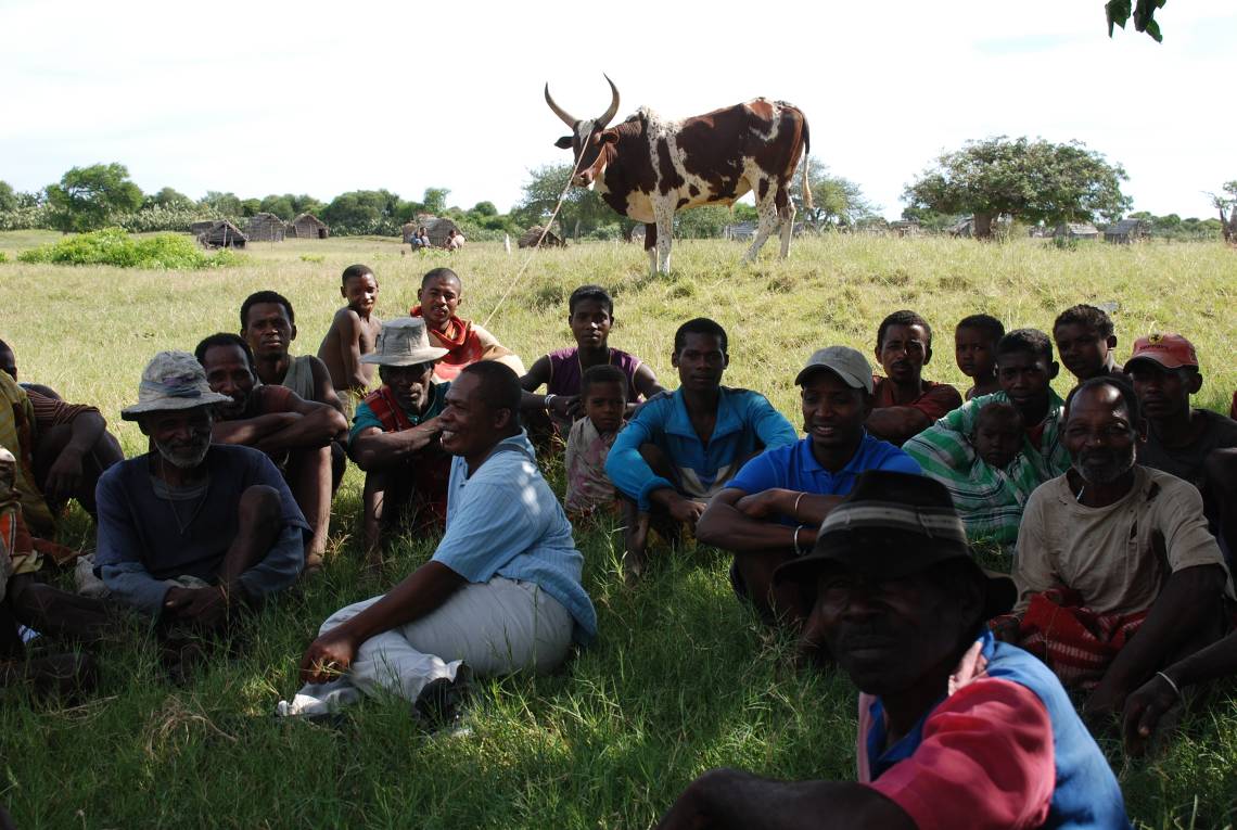 Discussing_plans_for_the_upcoming_zebu_festival_to_seal_the_deal_between_TSA_and_the_village_of_Antsakoamasy