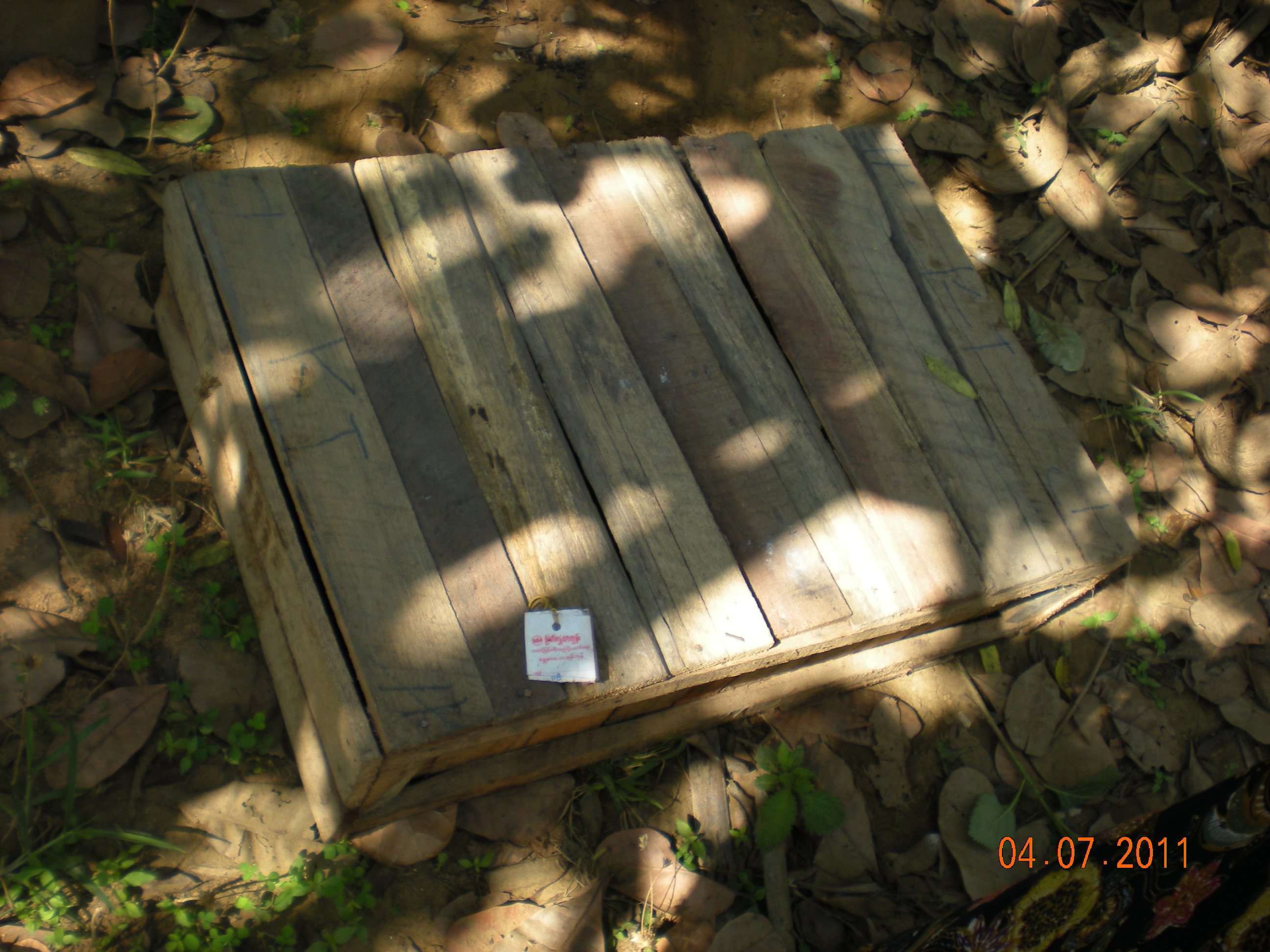 This_wooden_box_was_used_to_transport_the_turtles_to_their_new_facility_safely
